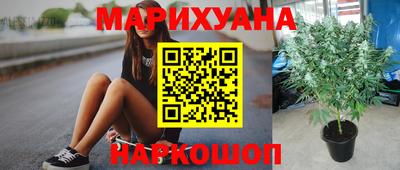 стафф Тара