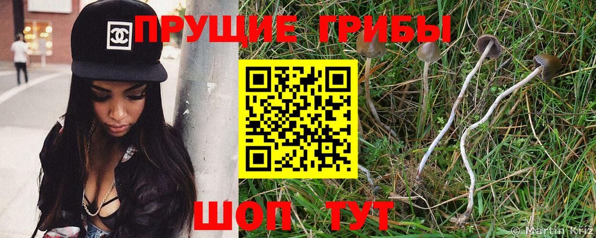 Галлюциногенные грибы MAGIC MUSHROOMS Мурино