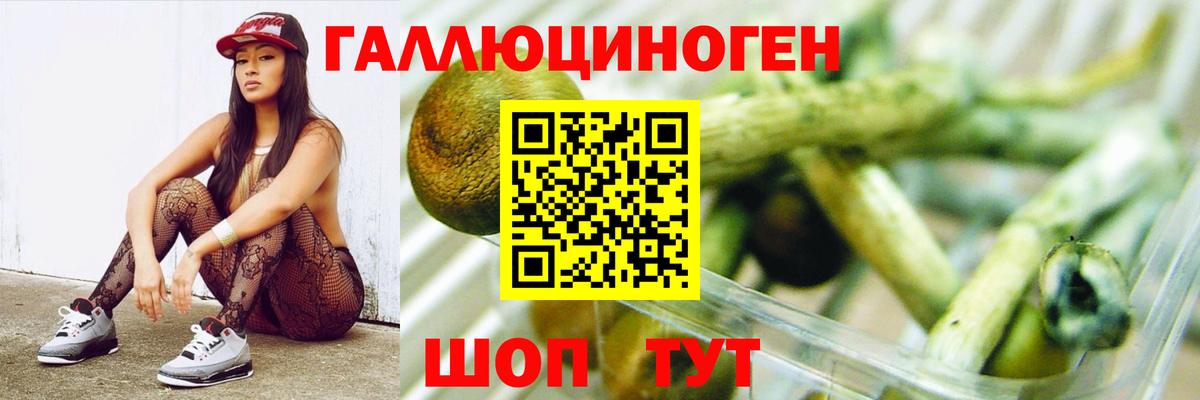 Мурино  Псилоцибиновые грибы Psilocybine cubensis  Вход с VPN  Псилоцибиновые грибы MAGIC MUSHROOMS 